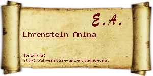 Ehrenstein Anina névjegykártya